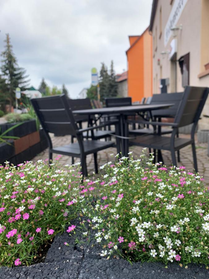 Divino Pension Zorbau Apartment Lutzen Luaran gambar